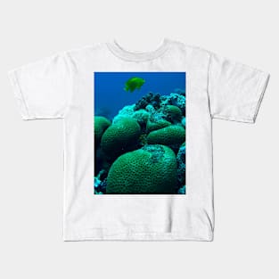 Red Sea Coral Reef Kids T-Shirt